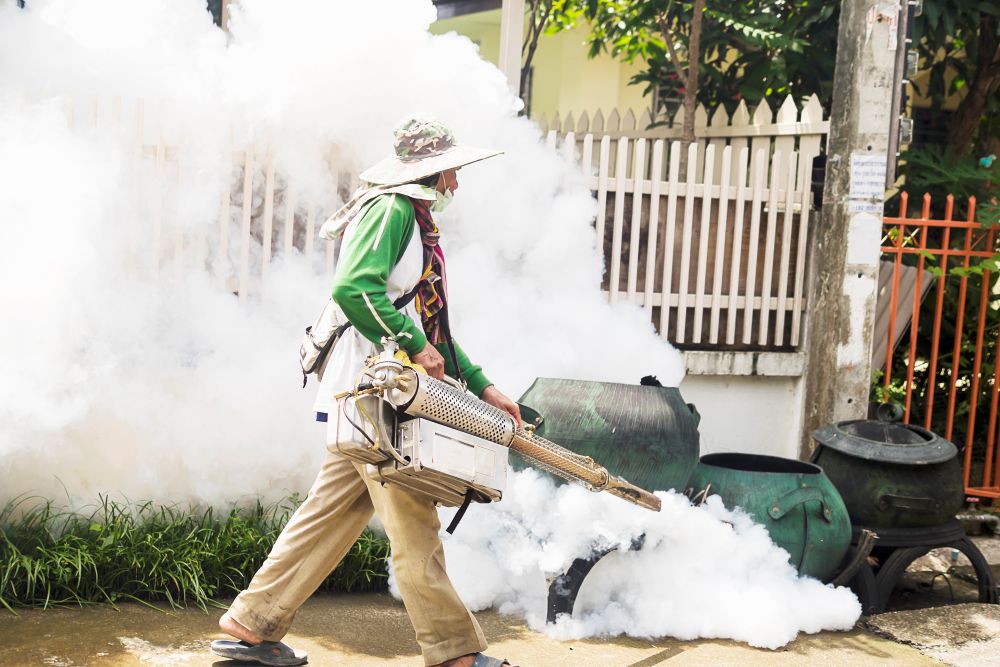Mozzie Defender vs. Traditional Mosquito Fogging: What's the Difference?
