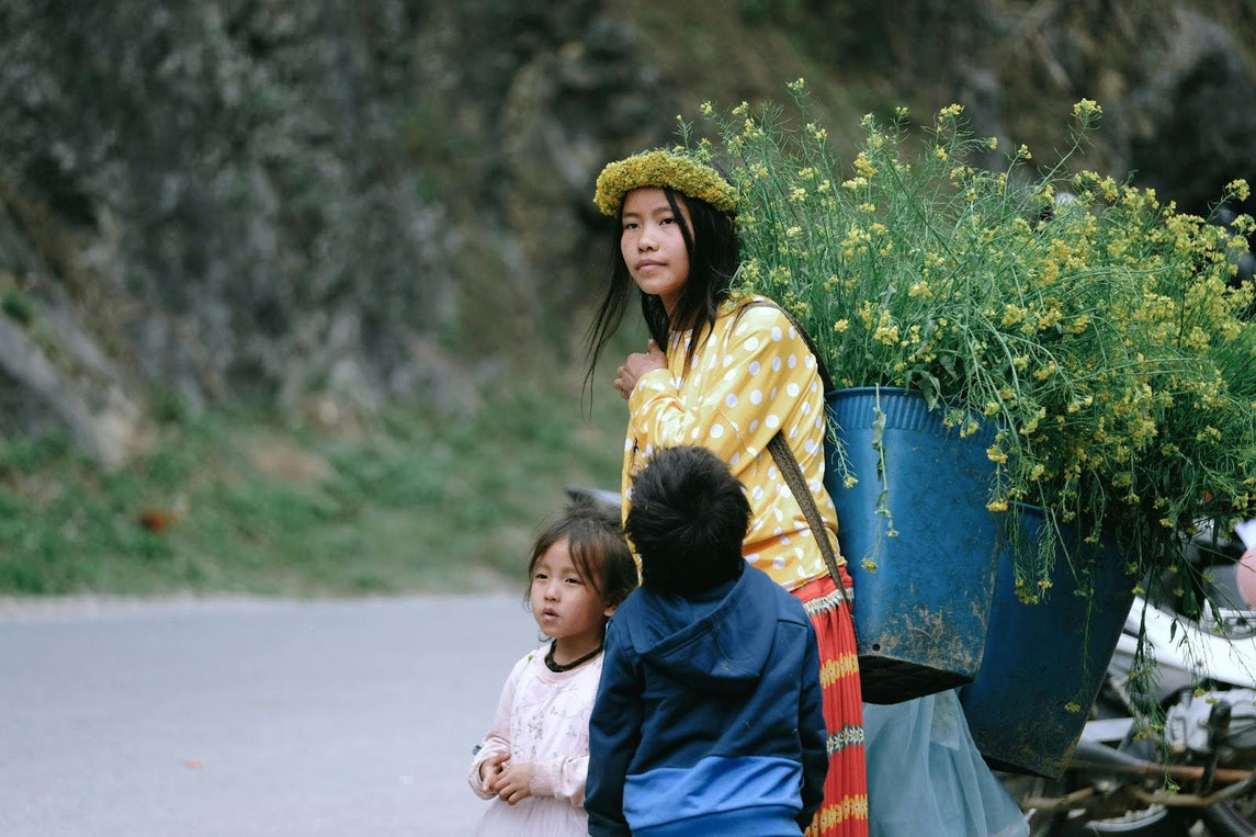 Protect Your Family from Dengue: Singapore Expert Mosquito Control Solutions