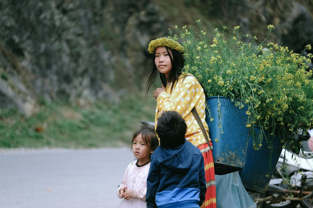 Protect Your Family from Dengue: Singapore Expert Mosquito Control Solutions