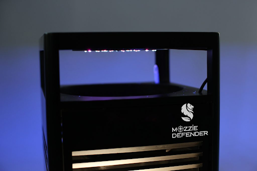 How to Create a Mosquito-Free Home Environment: Top Tips and Tricks